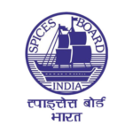 Untitled design - 2024-06-28T142606.740